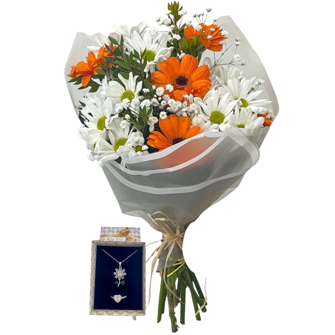 Papatya Dünyasının Gerberası 