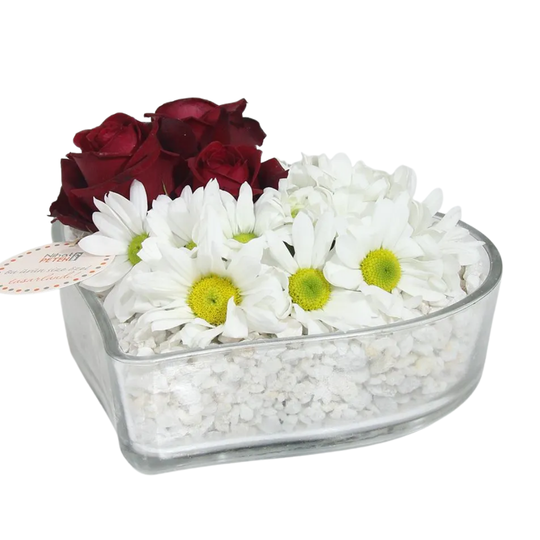 Kalp Vazoda Papatya Aranjmanı