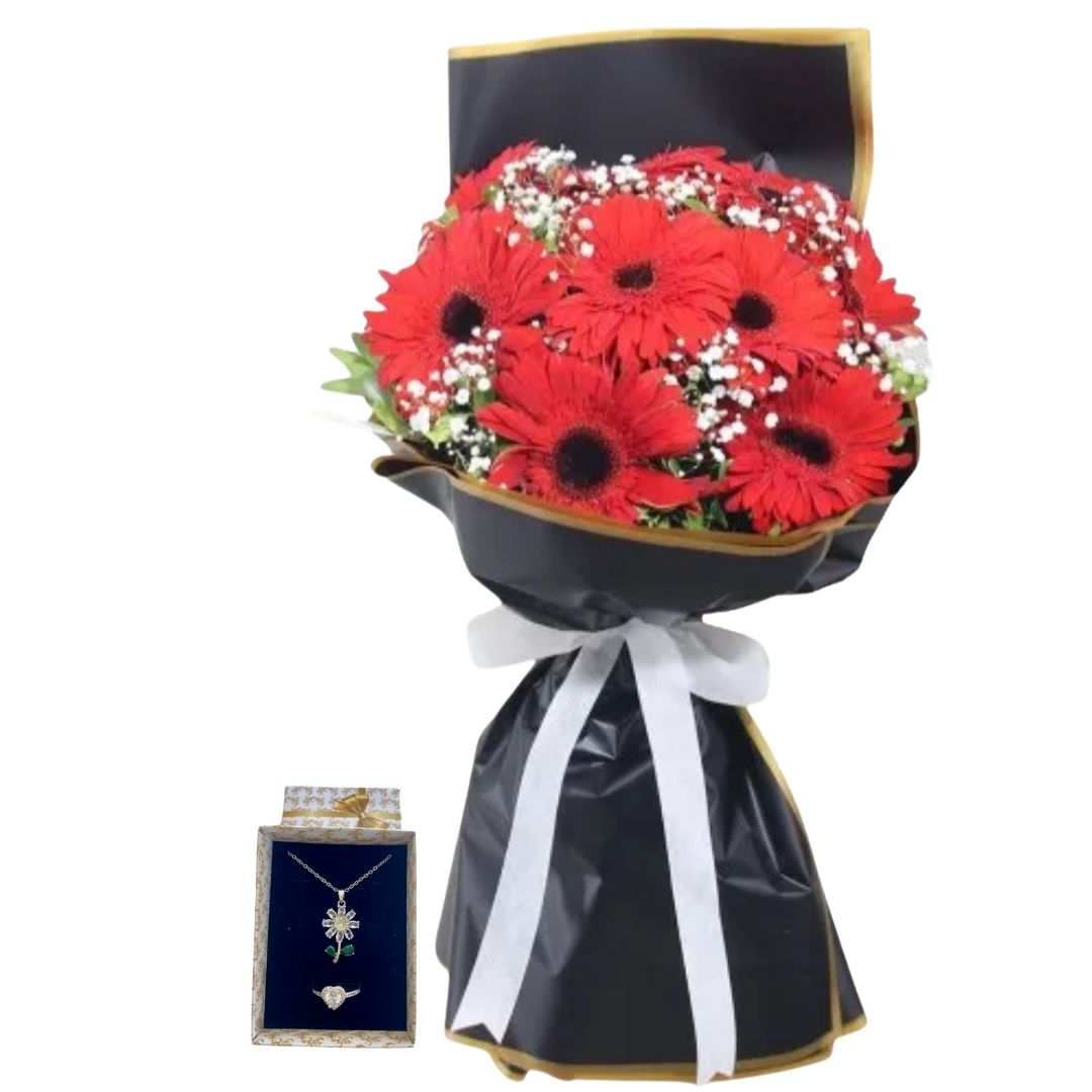 Işıltılı Gerberanın Asaleti 