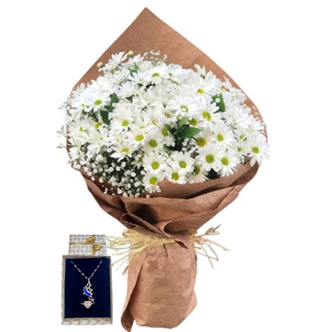 Papatyanın Beyaz Melodisi