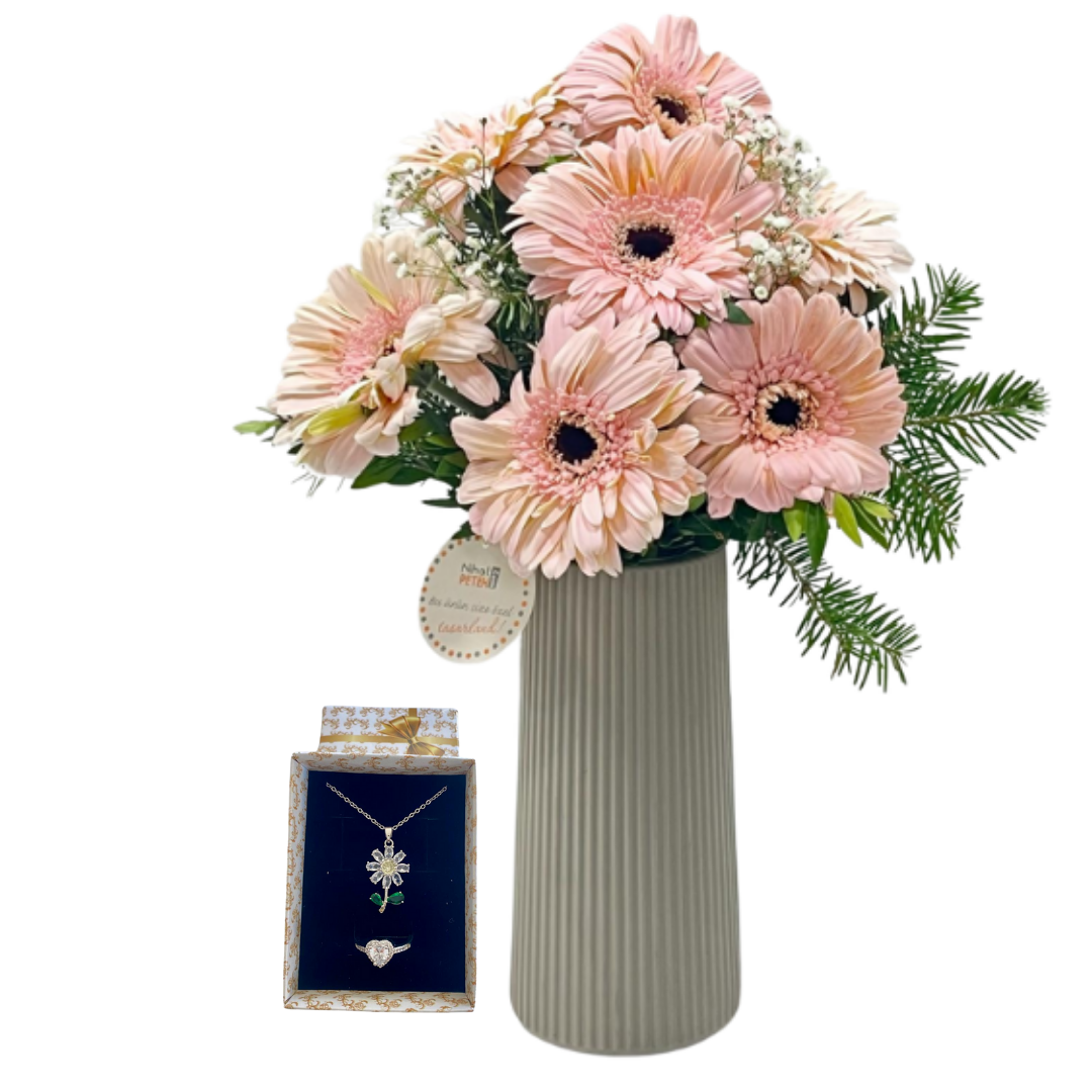 Gerberanın Papatya Işıltısı