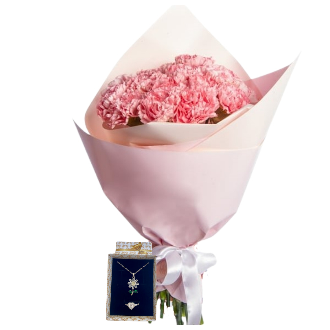 Karanfil Masalının Işığı