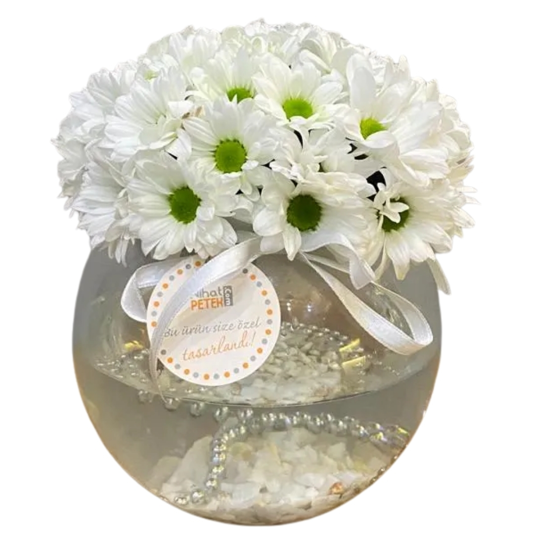 Akvaryumdaki Güzellik