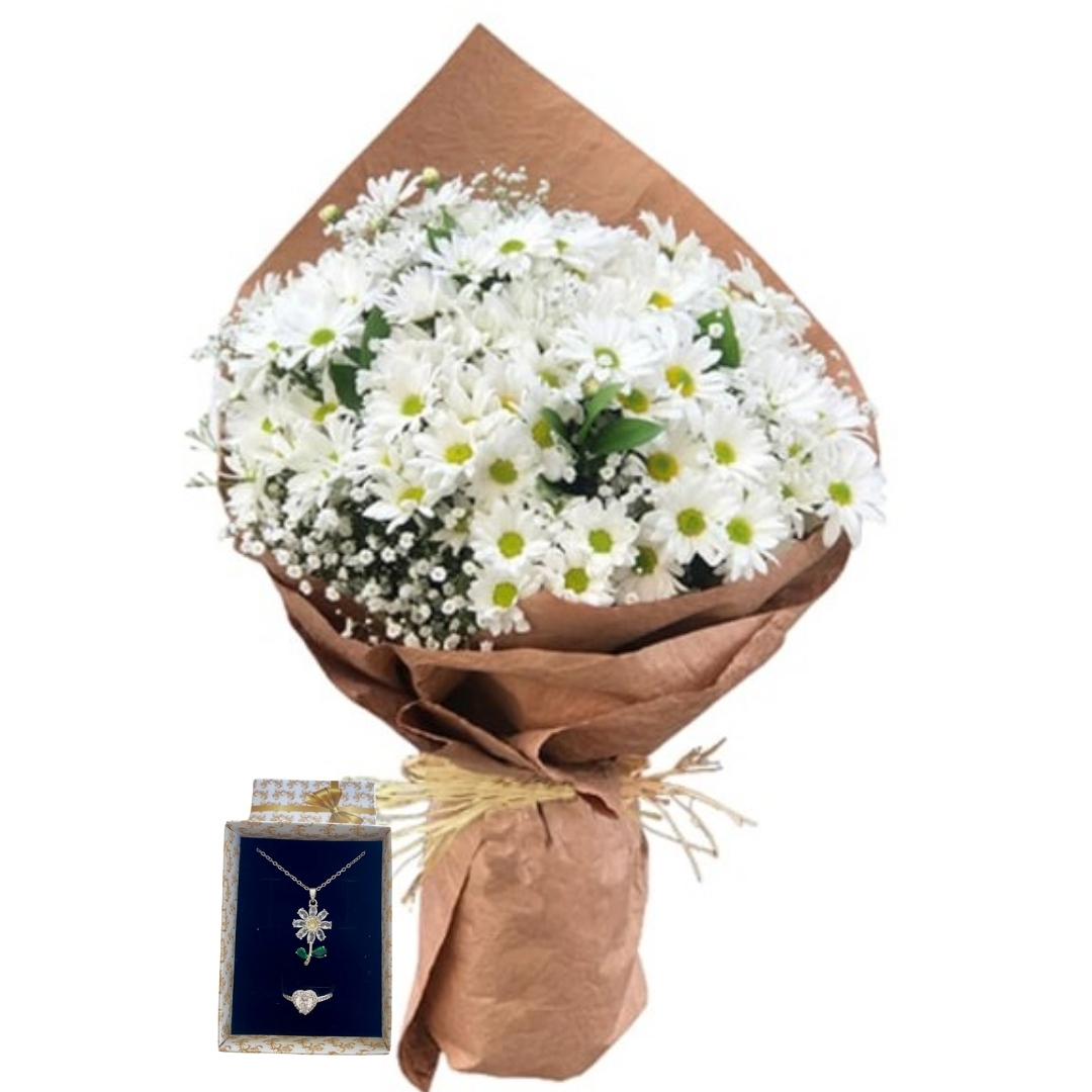 Beyaz Papatya Dünyası 