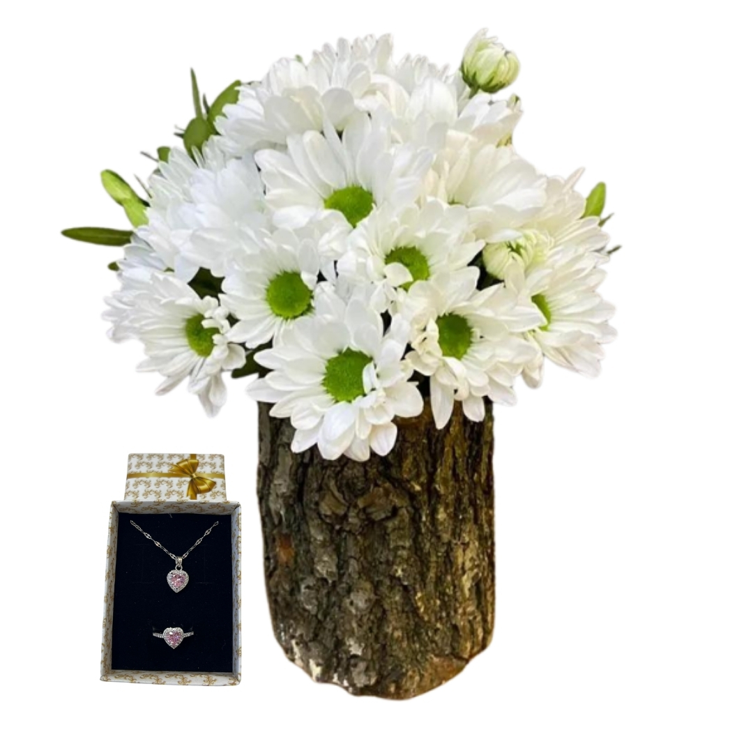 Saf Güzelliğin Pandorası