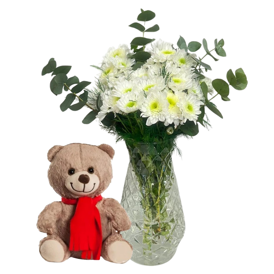 Hayallerin Ötesindeki Ayıcık 