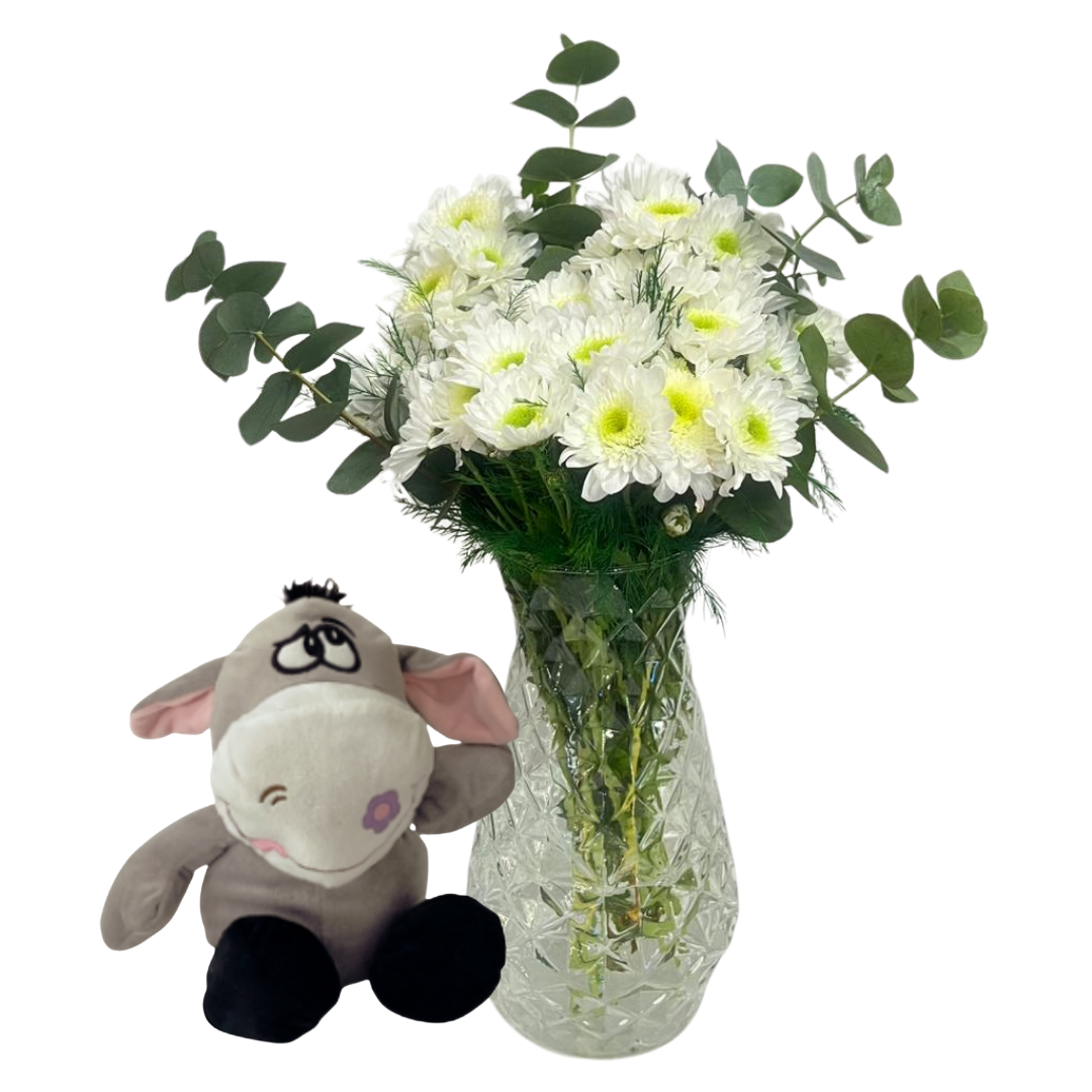 Peluş Eşeğin Kasımpatısı