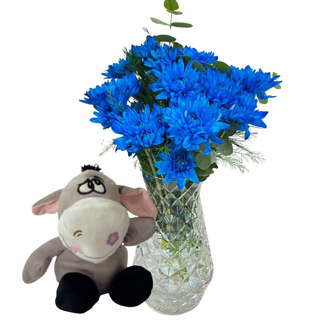 Mavi Eşekli Kasımpatı