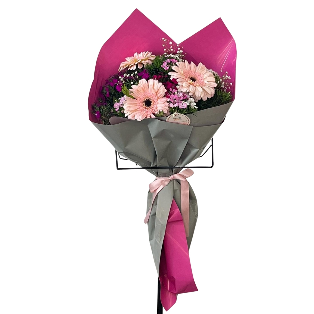 Pembe Gerbera Pandorası
