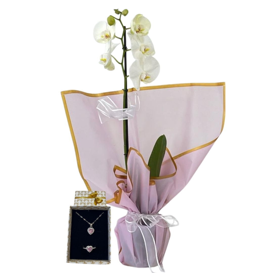 Zarifliğin Esintisi