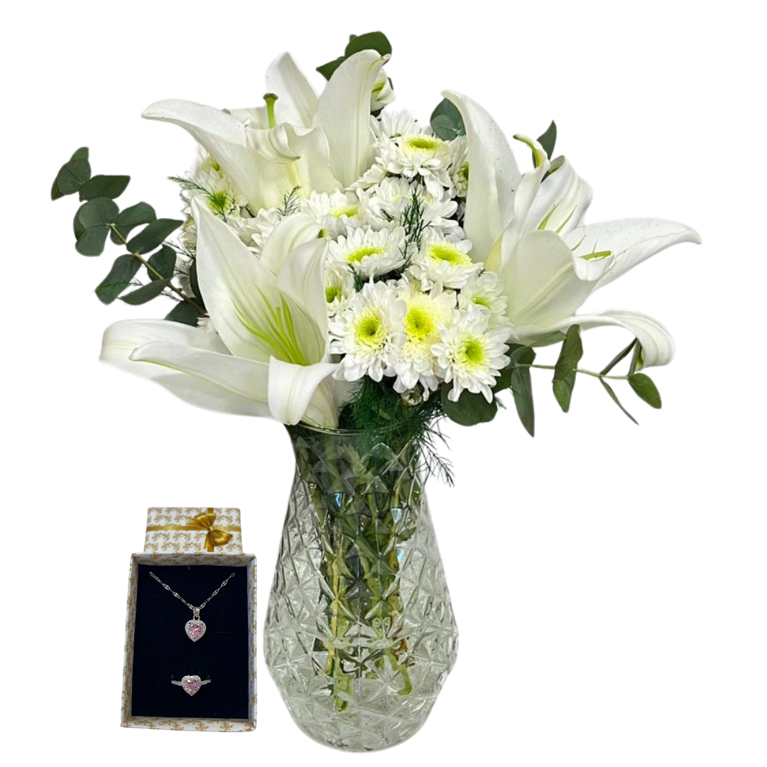 Pembe Pandoralı Beyaz Kasımpatı