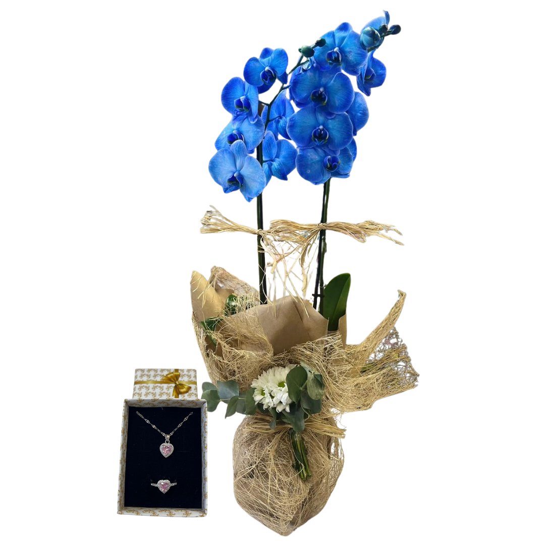 Orkidenin Pandora Parıltısı