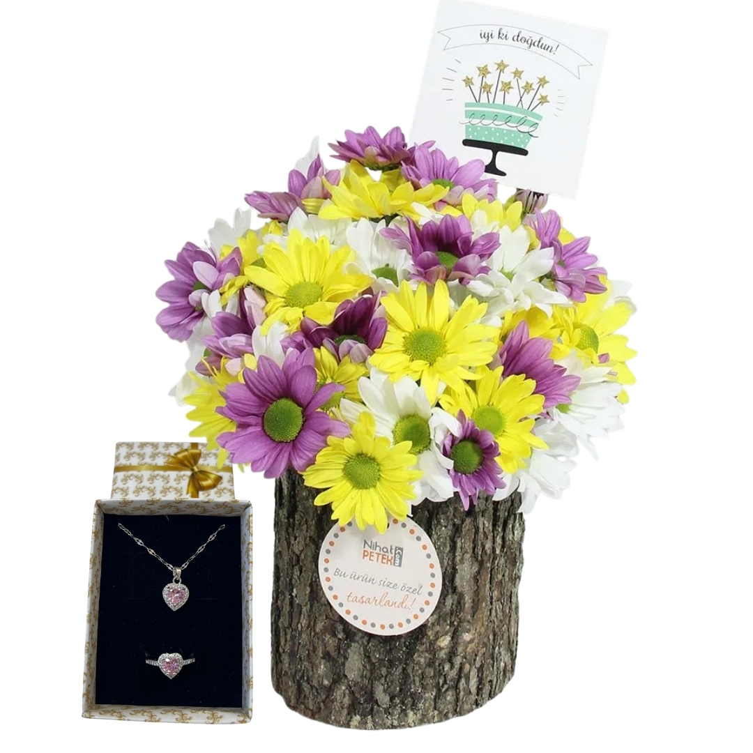 Doğum Günü Neşesi