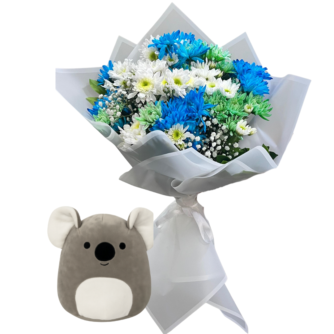 Koalanın Kasımpatısı