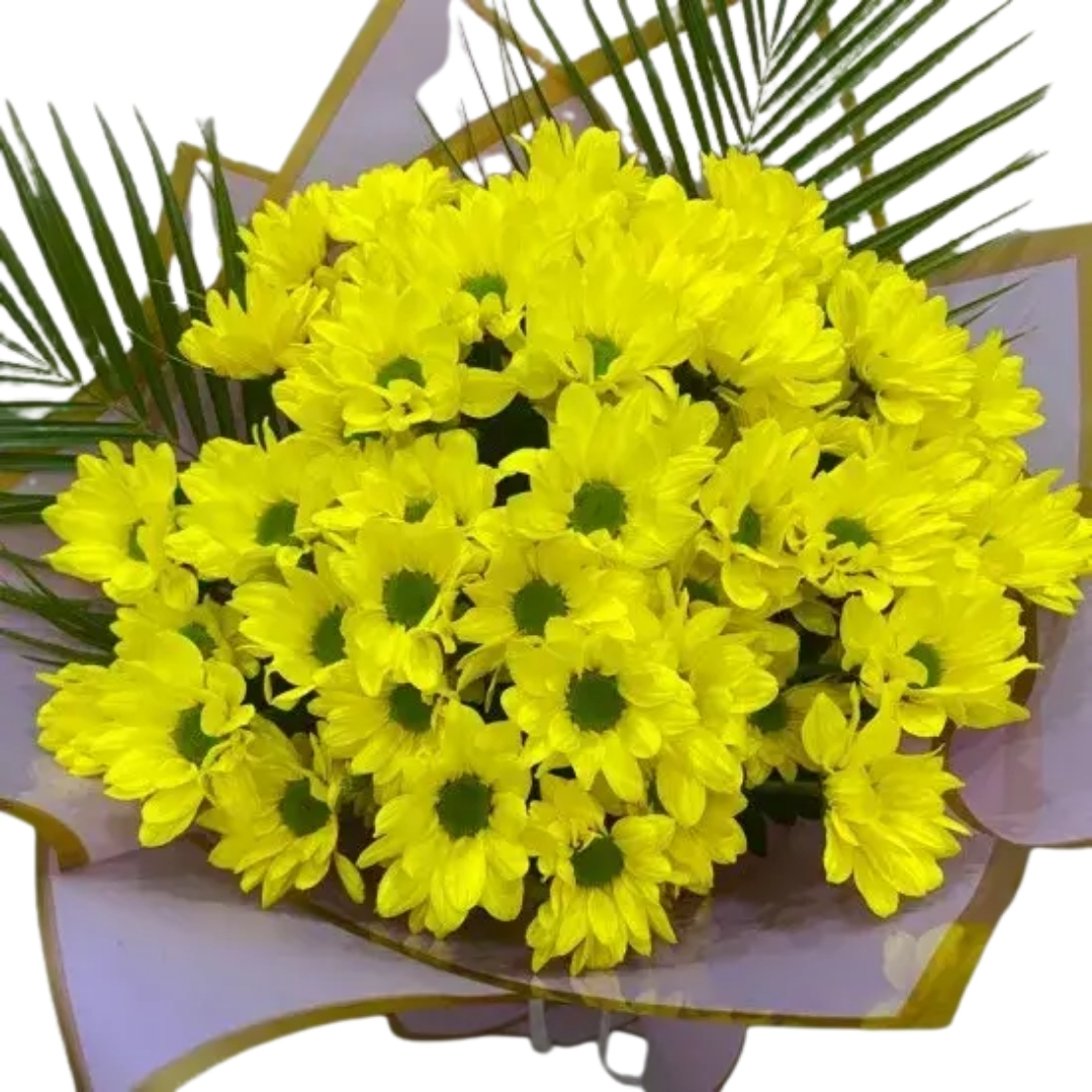 Sarı Papatyalar Dünnyası