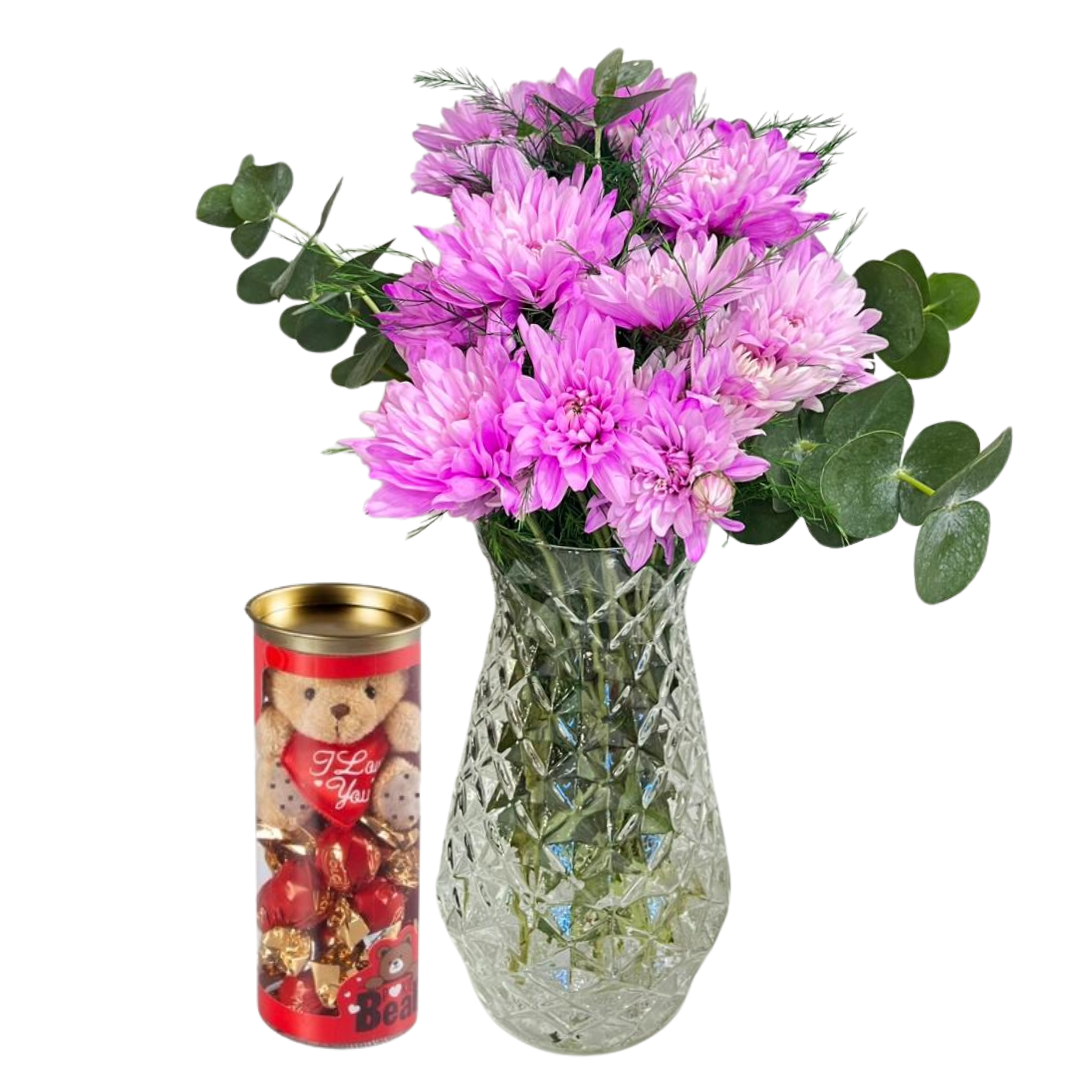 Tatlı Ayıcıklı Kasımpatı 