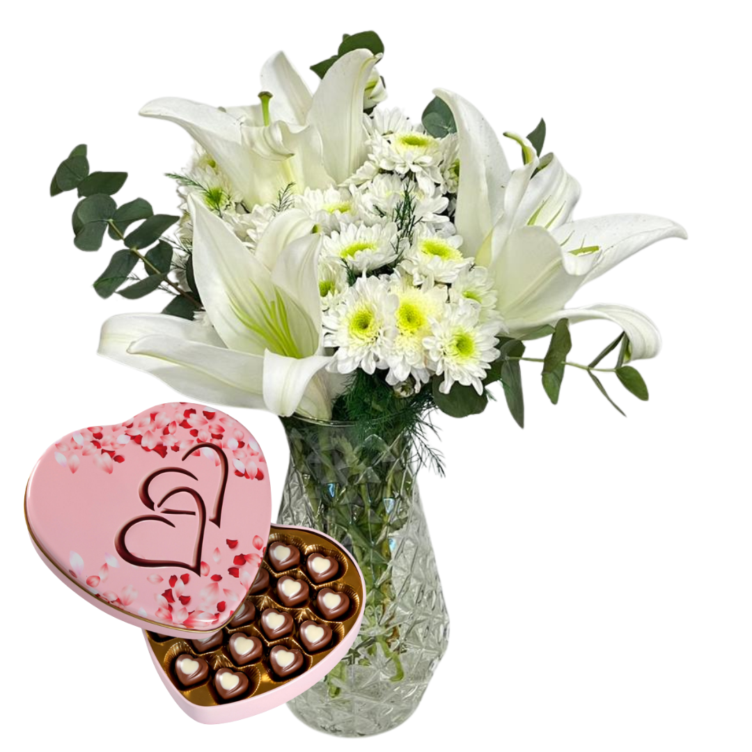 Tatlı Beyaz Kasımpatısı