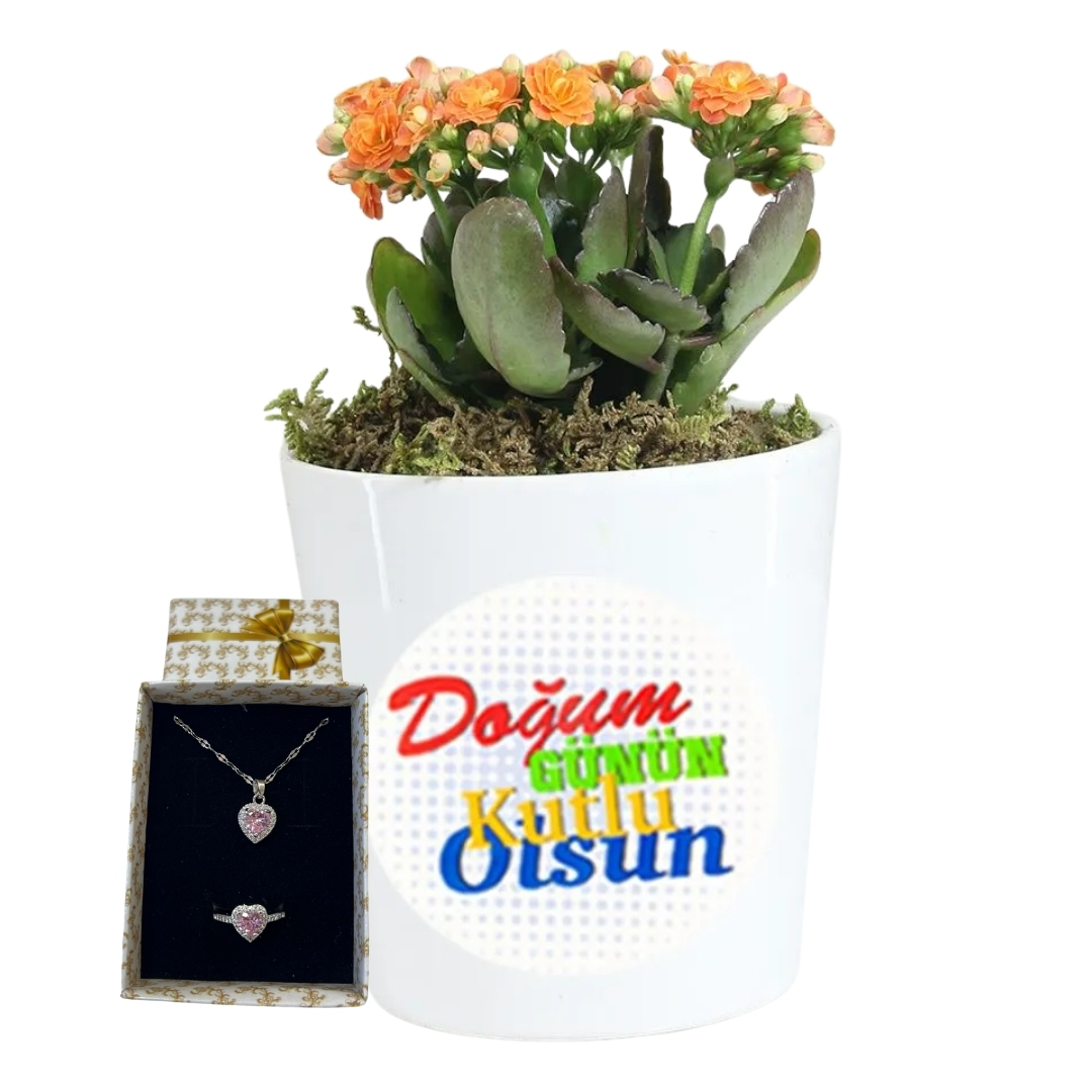 Doğum Günü Zarafeti