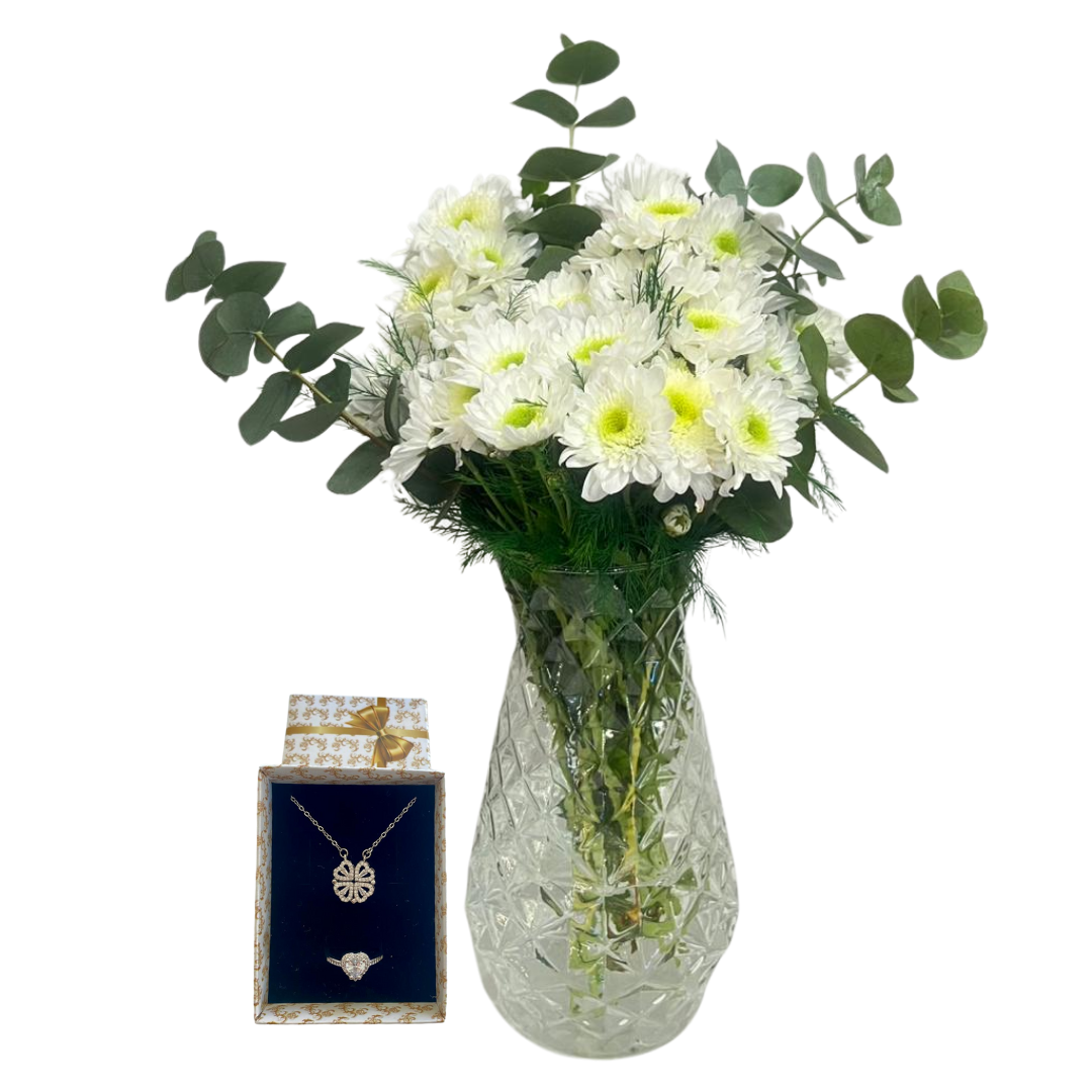 Işıltılı Kasımpatı Dünyası