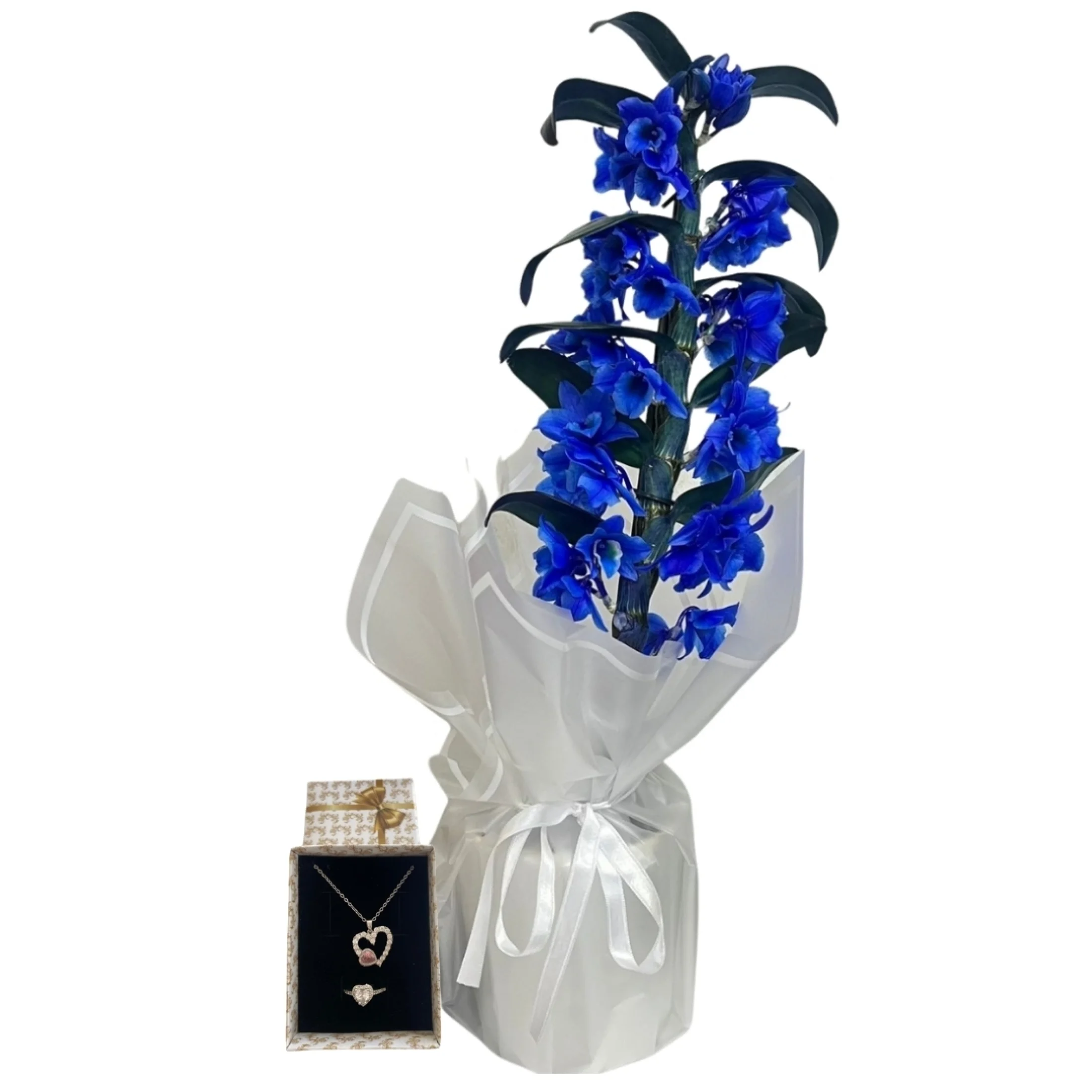 Aşk Işıltısı Mavi Bambu