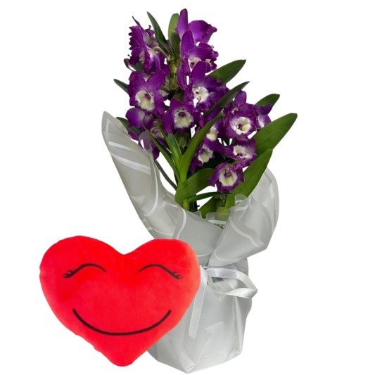 Kalp Yastıklı Mor Bambu