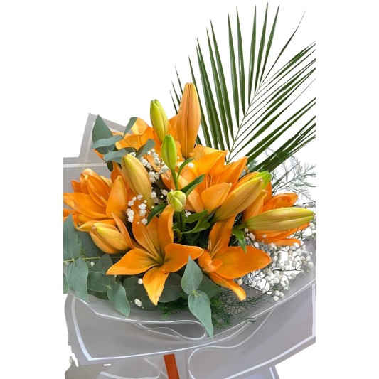 Turuncu Lilyum Enerjisi