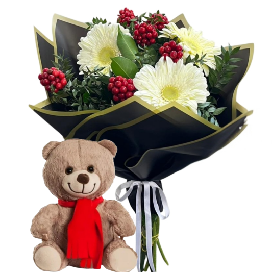 Kokina ve Sevimli Ayıcık