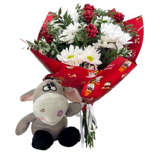 Kış Dostluğu Papatya Ve Kokina