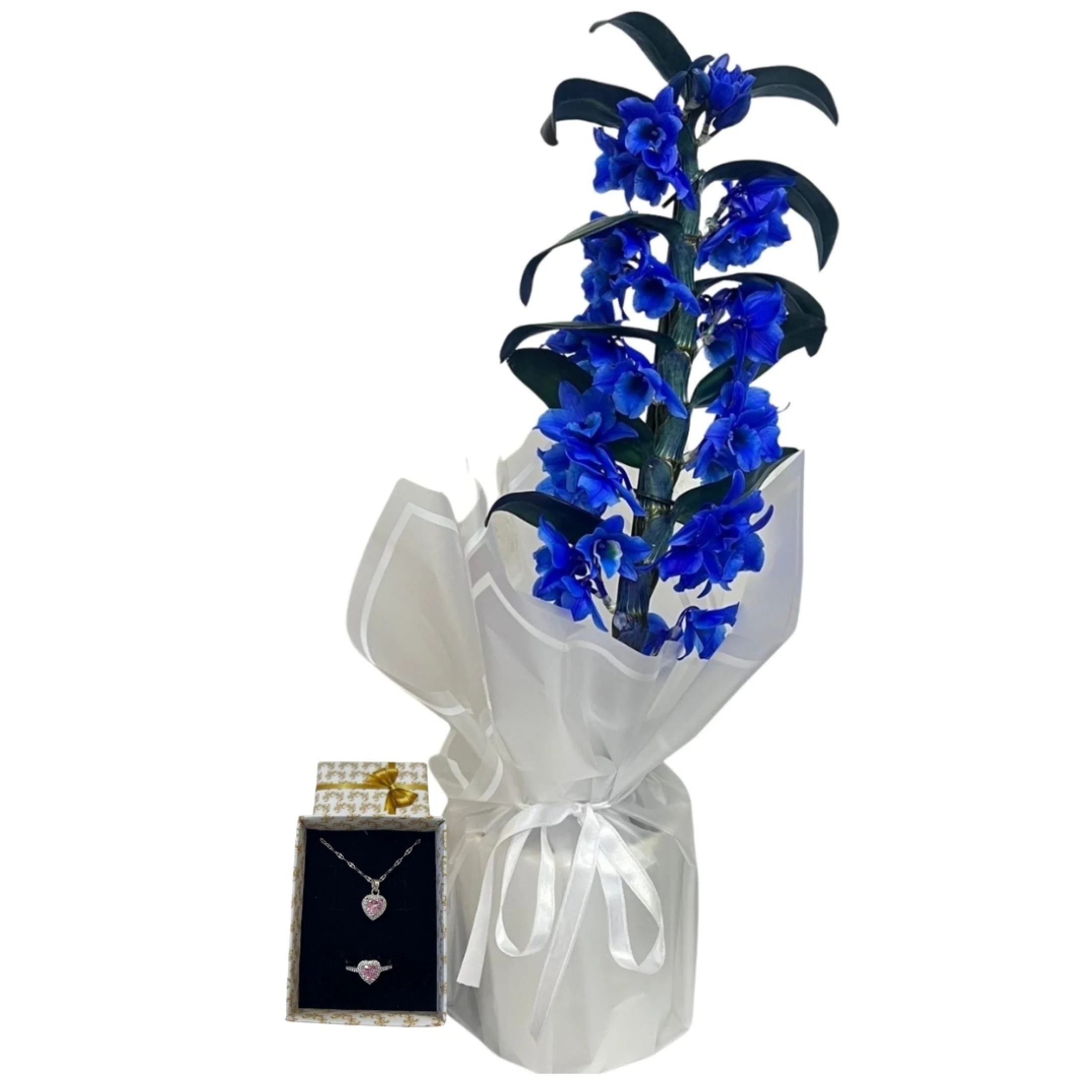 Pembe Işıltılı Mavi Bambu