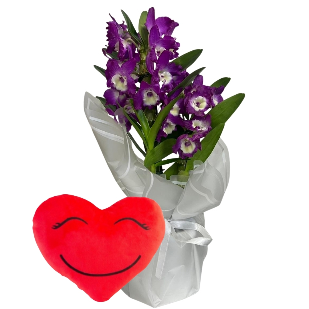 Kalp Yastıklı Mor Bambu