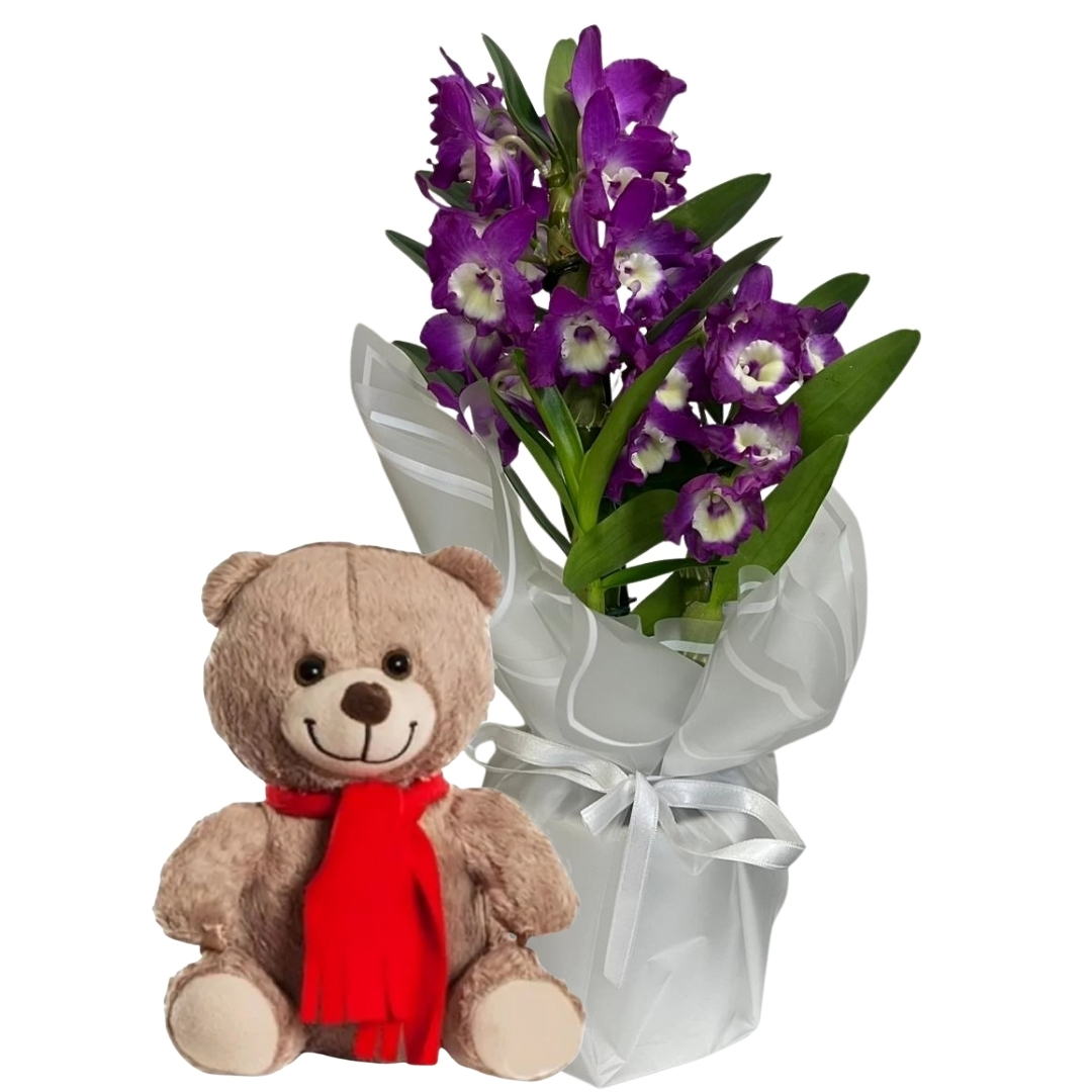 Mor Bambunun Peluş Ayıcığı