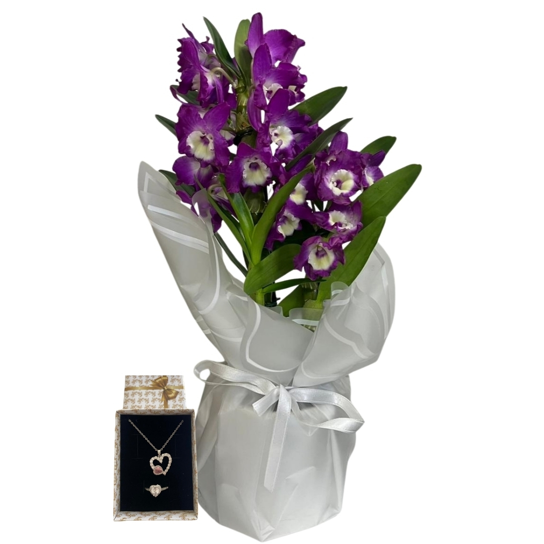 Kalp Dokunuşlu Mor Bambu