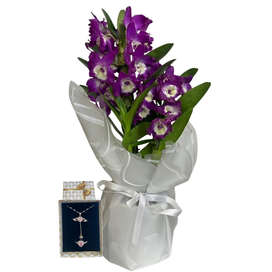 Mor Bambunun Meleği