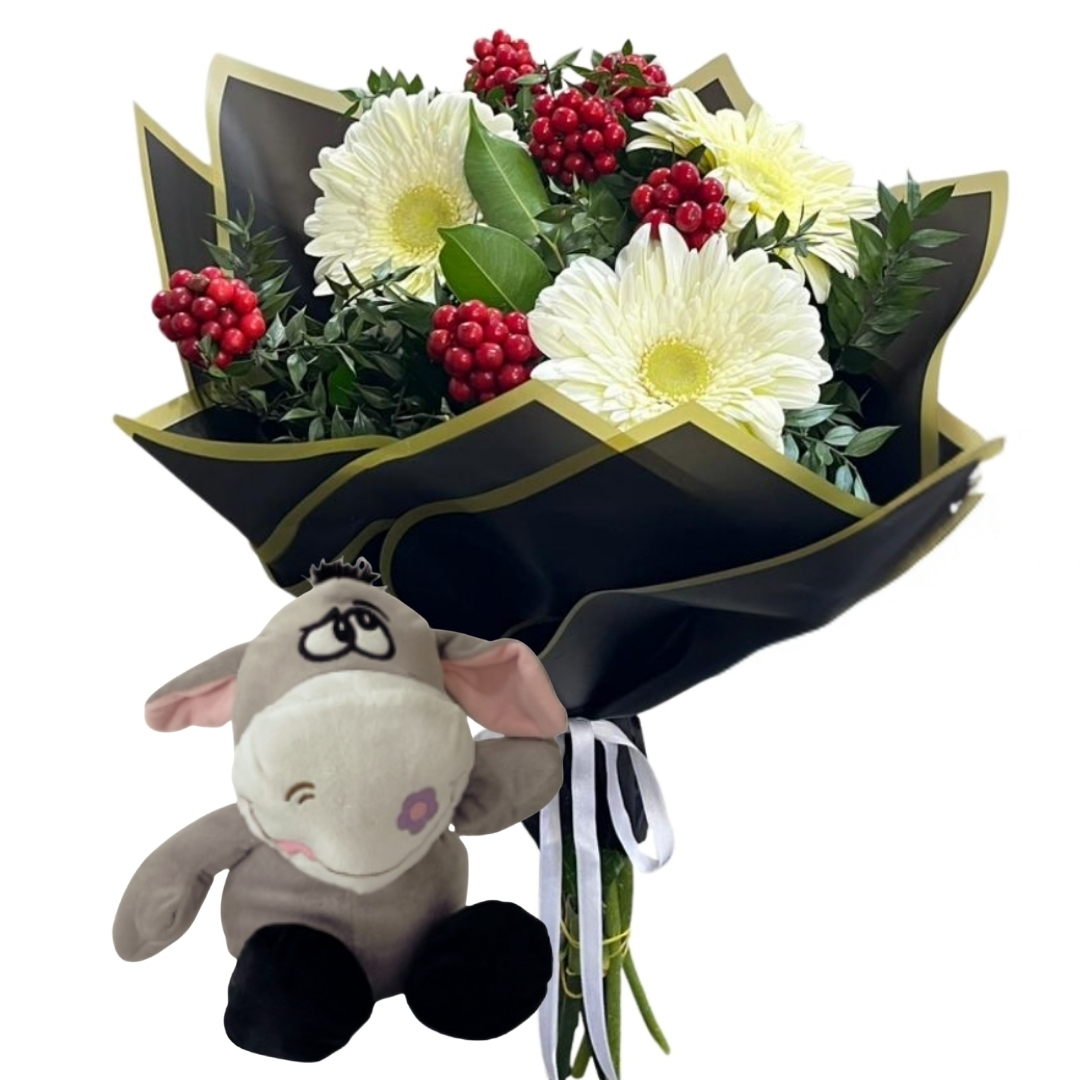 Kokinanın Peluş Eşeği