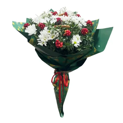 Kırmızı Şans Kokina