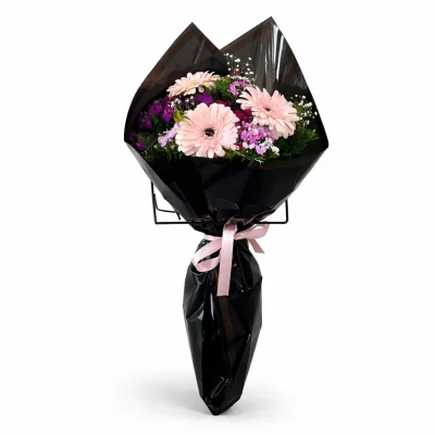 Gece Güzelliği Hüsnüyusuf