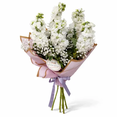 Beyaz Şebboy Buketi