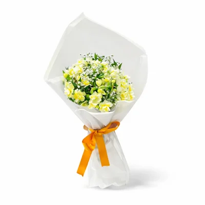 Bembeyaz Nergis Dansı