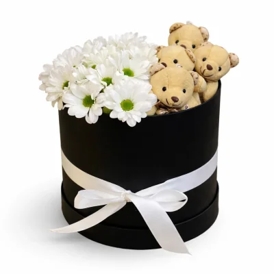 Kutuda Papatya ve Ayıcıklar