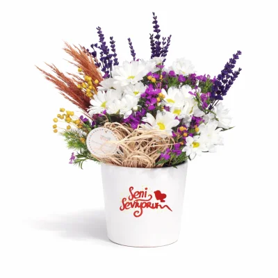 Aşkıma Beyaz Papatya