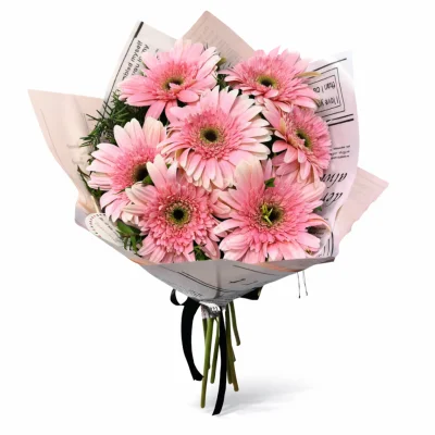 Aşkın Habercileri Gerberalar