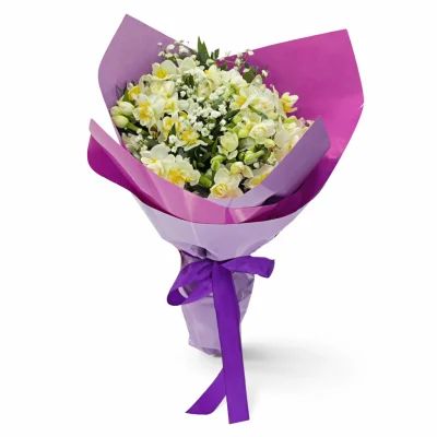 Lila Nergis Dokunuşu