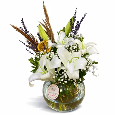 Akvaryum Vazoda Lilyum