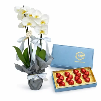 Mavi Premium Orkide & Kalp Çikolata Seti