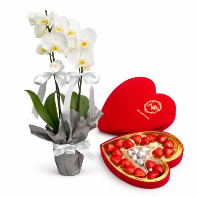 Kalbimde Sen Orkide Seti