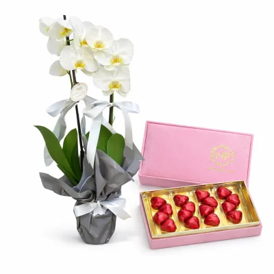 Pembe Zarafet Orkide Hediye Seti