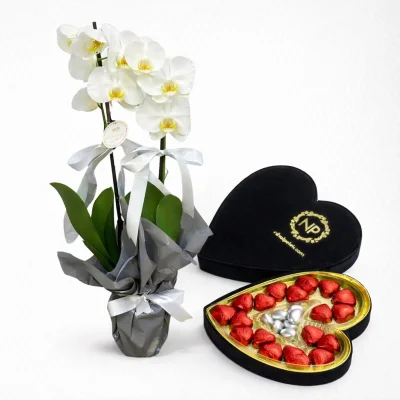 VIP Beyaz Orkide & Kalp Çikolata Seti