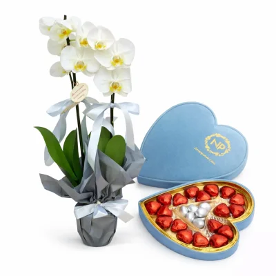 Mavi Zarafet Orkide Seti