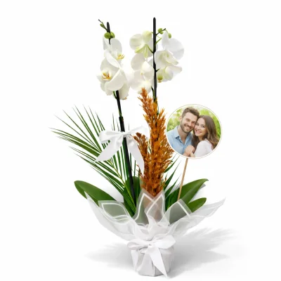 Sonsuz Anılar Orkide Tasarımı