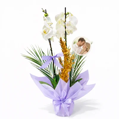 Kişiye Özel Fotoğraflı Lila Zarafet Çift Dal Orkide